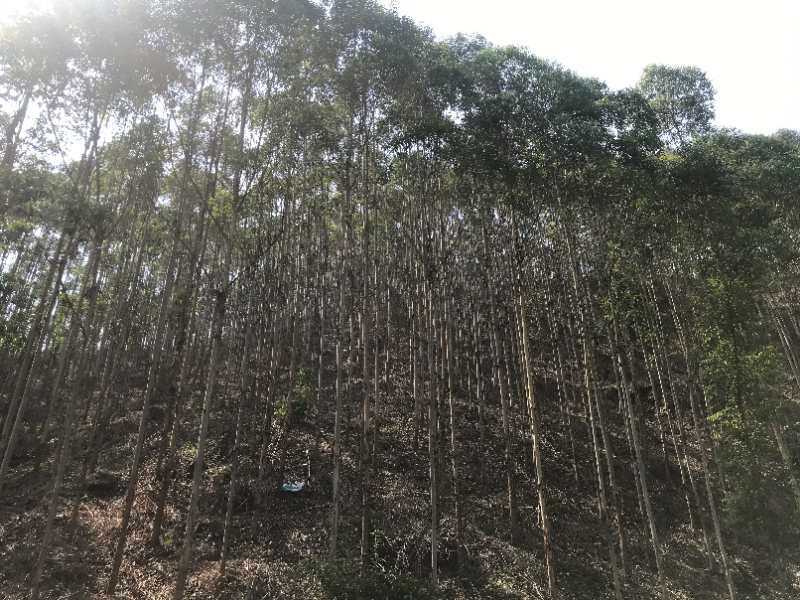 标题图片