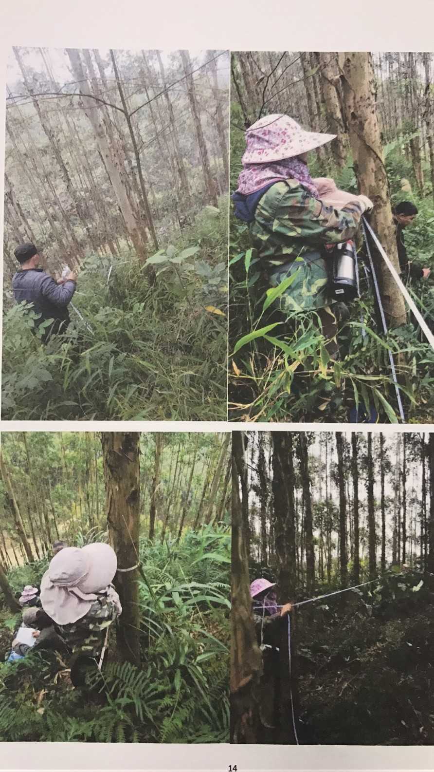 标题图片